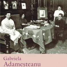 Dimineaţă pierdută - Paperback brosat - Gabriela Adameşteanu - Polirom