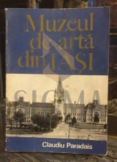 MUZEUL DE ARTA DIN IASI foto