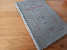 I. CHIRU-NANOV, PE CĂILE PROFEȚILOR. VOL.I CONSTANTINOPOLUL- EGIPTUL EDIȚIA 1922