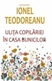 Ulita copilariei. In casa bunicilor - Ionel Teodoreanu