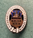 Insigna Asociatia Carpatina Transilvania