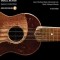 Blues Ukulele: Learn to Play Blues Ukulele with Authentic Licks, Chords, Techniques &amp; Concepts [With CD (Audio)]