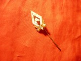 INSIGNA SPORTIVA - FRC -FEDERATIA ROMANA DE CALARIE - RSR h=2,2cm