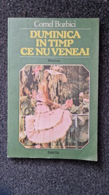 DUMINICA IN TIMP CE NU VENEAI - Cornel Bozbici foto