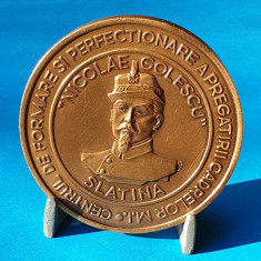 Medalia CENTRUL DE PERFECTIONARE A CADRELOR DIN MINISTERUL DE INTERNE N. GOLESCU