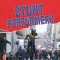 Stunt Performers