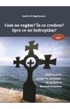 Cum ne rugam? In ce credem? Spre ce ne indreptam? - Andrei Dragulinescu