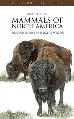 Mammals of North America foto