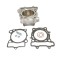 Cilindru Athena Suzuki RM-Z 250 07- 09