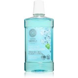 Natura Siberica Natural Mouthwash Fresh Breath &amp; Plaque Control apă de gură pentru o respirație proaspătă 520 ml