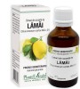 EXTRACT DIN SCOARTA DE LAMAI 50ML, Plantextrakt
