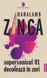 Supersonicul 01 decoleaza in zori - Haralamb Zinca