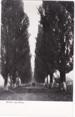 AS - ILUSTRATA 1223, BACAU - SPRE BISTRITA, ANUL 1960 foto