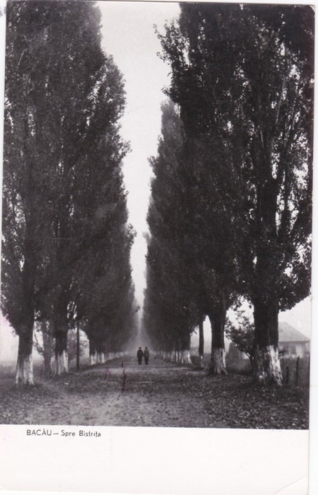 AS - ILUSTRATA 1223, BACAU - SPRE BISTRITA, ANUL 1960