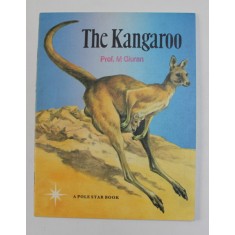 THE KANGAROO by BARBARA BENSON , adapted from the DUTCH OF FRANCIS BREWER , 1979