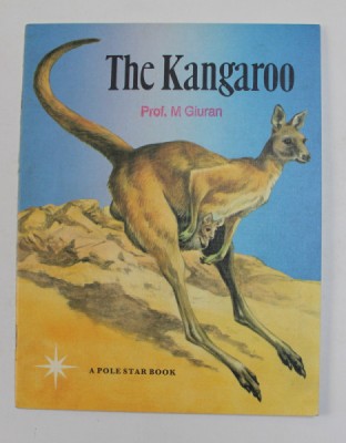 THE KANGAROO by BARBARA BENSON , adapted from the DUTCH OF FRANCIS BREWER , 1979 foto