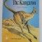 THE KANGAROO by BARBARA BENSON , adapted from the DUTCH OF FRANCIS BREWER , 1979
