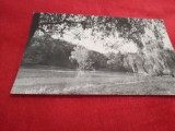 CARTE POSTALA SIBIU-VEDERE DIN DUMBRAVA CIRCULATA