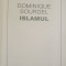 ISLAMUL - DOMINIQUE SOURDEL