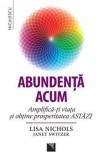 Abundenta acum - Lisa Nichols, Janet Switzer