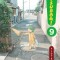 Yotsuba&amp;!, Volume 9