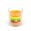 Lumanare parfumata &ndash; &quot;Mirodenie de Craciun&quot; &ndash; 120 g Best CarHome