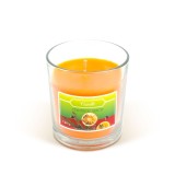 Lumanare parfumata &ndash; &quot;Mirodenie de Craciun&quot; &ndash; 120 g Best CarHome