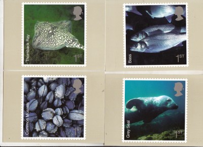 bnk cp Fauna marina - lot 8 carti postale necirculate * foto