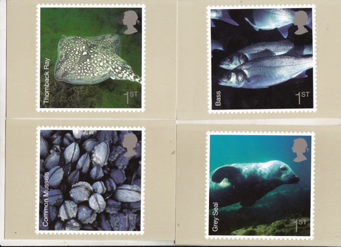 bnk cp Fauna marina - lot 8 carti postale necirculate *