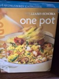One pot - Williams Sonoma