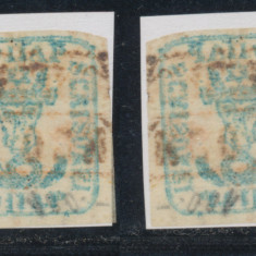 ROMANIA MOLDOVA timbru original Cap de Bour 40 parale stampila rara Botosani