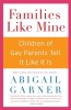 Families Like Mine: Children of Gay Parents Tell It Like It Is