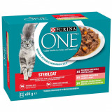 Pliculețe PURINA ONE STERILCAT - carne de vită, somon și morcovi, cu curcan și fasole verde &icirc;ntr-un sos delicios 12 x 85 g