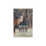 Whitetail Deer Facts and Strategies