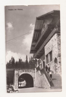 RF45 -Carte Postala- Vedere din Paltinis, circulata 1964 foto