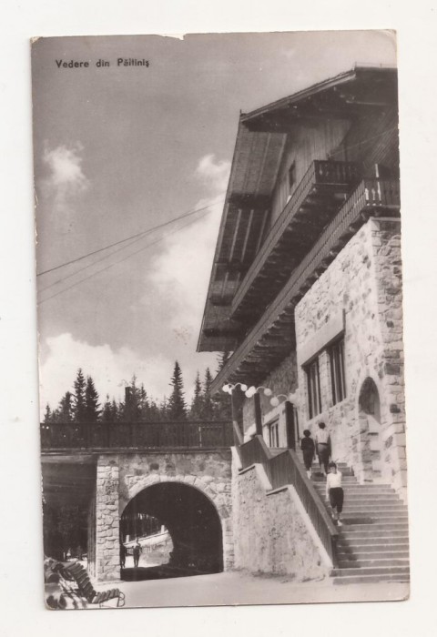 RF45 -Carte Postala- Vedere din Paltinis, circulata 1964