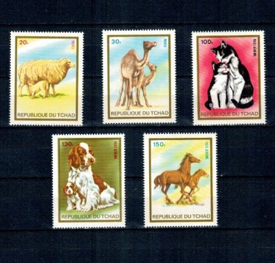 Tchad 1973 - Animale domestice, serie neuzata foto