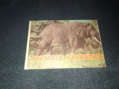 CARTE PLIABILA ANIMALE SALBATICE 1986