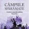 Campiile Sfaramate, Brandon Sanderson - Editura Art