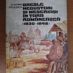 V.DICULESCU-BRESLE,NEGUSTORI SI MESERIASI IN TARA ROMANEASCA(1830-1848)