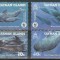 CAYMAN ISLANDS 2003 WWF BALENE