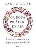 Ca doua picaturi de apa | Carl Zimmer, 2021, Litera