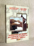 Sarmatianul din Sistemul de Foreland ale Carpatilor Orientali - Constantin Grasu