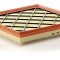 MANN-FILTER C 26 108 Filtru aer