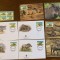 djibouti - serie 4 timbre MNH, 4 FDC, 4 maxime, fauna wwf