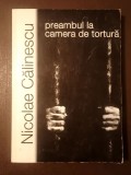 Nicolae Călinescu - Preambul la camera de tortură