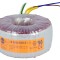 Transformator toroidal 300VA 230V 48V 6,25A cabluri