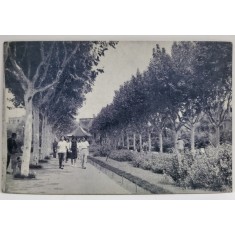 PARCUL SIAN - YAN SHANGHAI , CARTE POSTALA , ANII &#039; 50