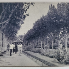 PARCUL SIAN - YAN SHANGHAI , CARTE POSTALA , ANII ' 50