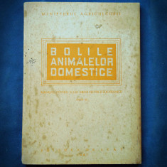 BOLILE ANIMALELOR DOMESTICE - MANUAL VETERINAR / ZOOTEHNIC - ANUL III